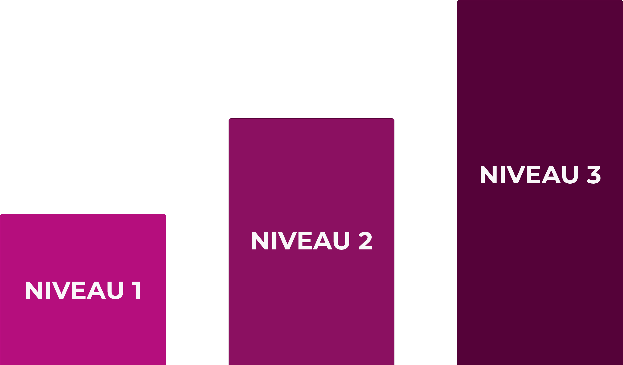 illustration des 3 niveaux