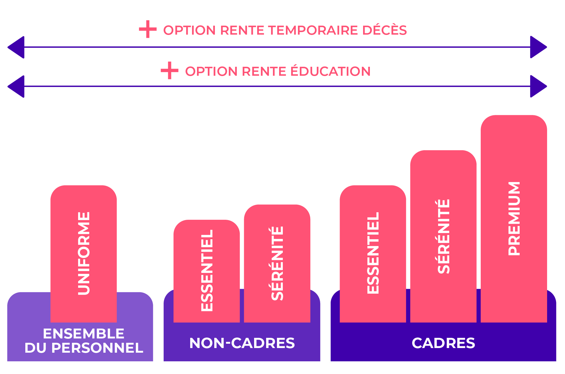 schema
