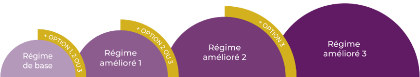 schema