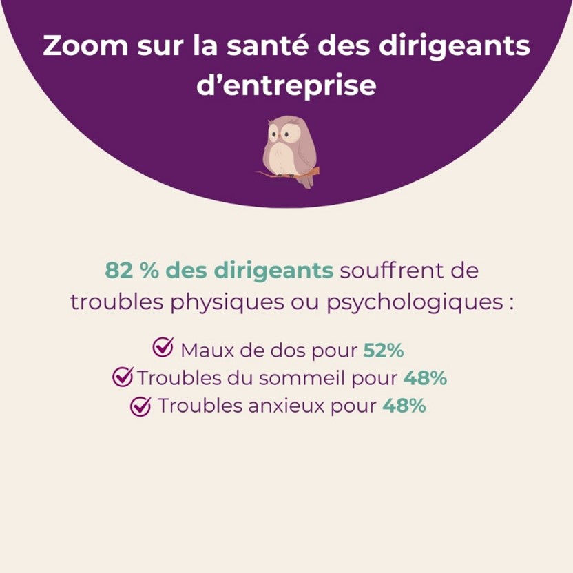 shéma santé dirigeants